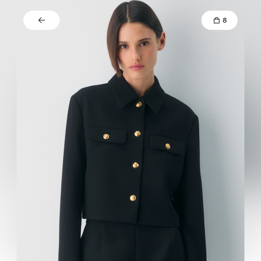 Aritzia Babaton Justina Blazer in Black Blazer